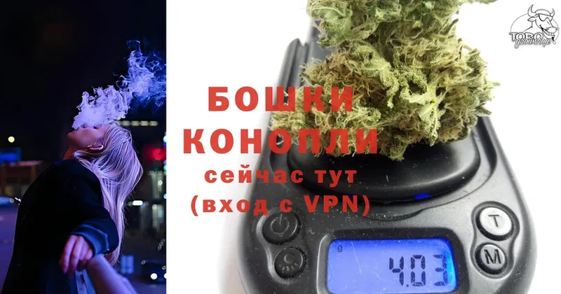 кракен зеркало  магазин продажи наркотиков  Камбарка  МАРИХУАНА SATIVA & INDICA 